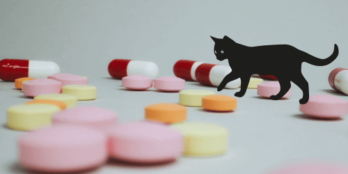 餵貓吃藥